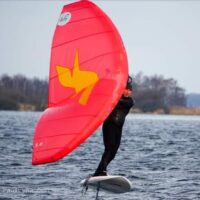 f-one wing swing