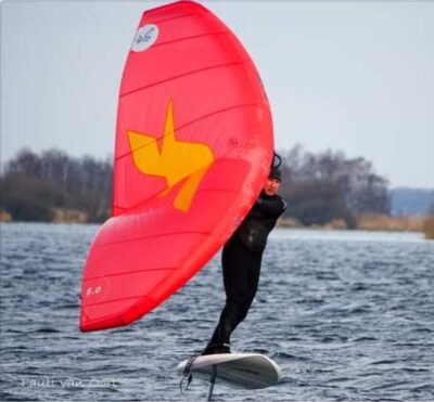 f-one wing swing